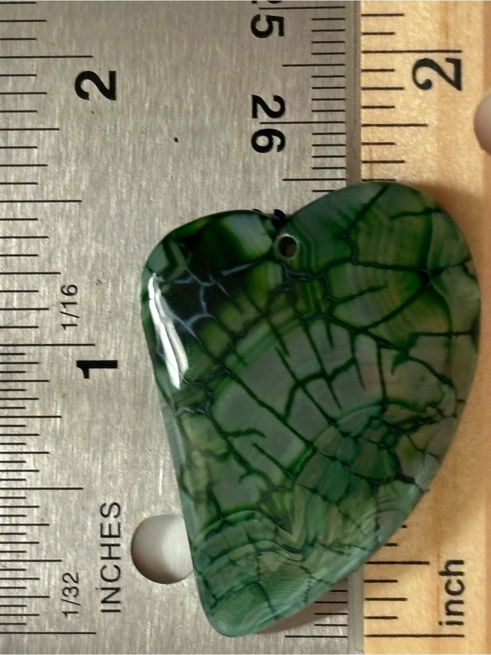 Close Up Vein Stem Leaf Phototropism Color Rock - Picture 3 of 16